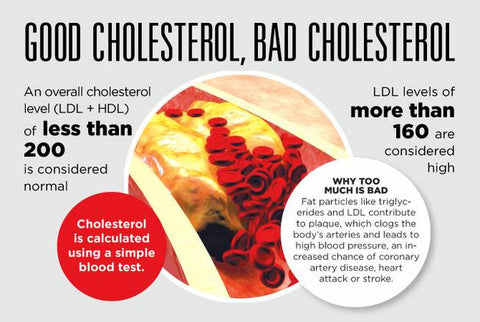 Cholesterol Health Management Consultation