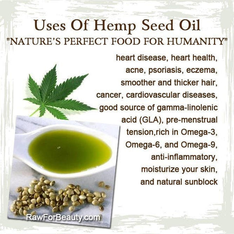 Glory Edward Organic Hemp Seed Oil - Virgin Cold Pressed - 250ml