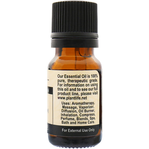 Ginger Essential Oil 15ml