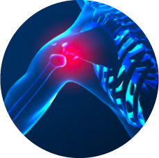 PAIN-OFF - Joint & Instant Pain Relief Spray