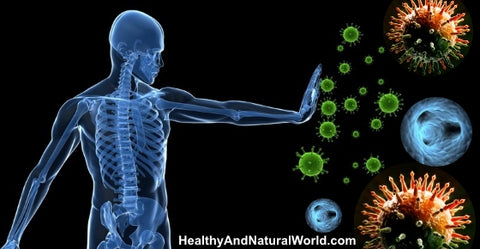 Immune Support Booster Kit -Basic