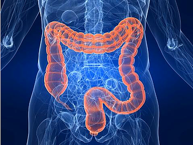 Why It's Important To Clean Your Colon