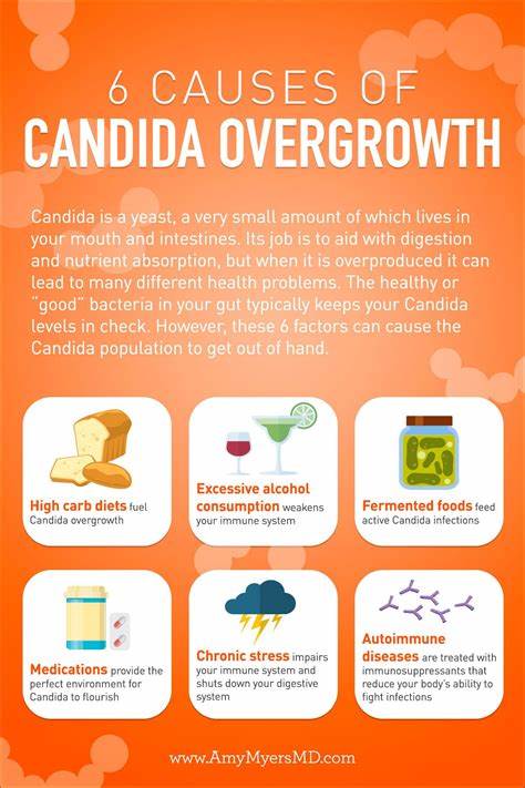 CANDIDA SUPPORT COMBO