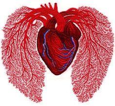 IMMUNE & LUNG  SUPPORT KIT