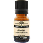 Ginger Essential Oil 15ml