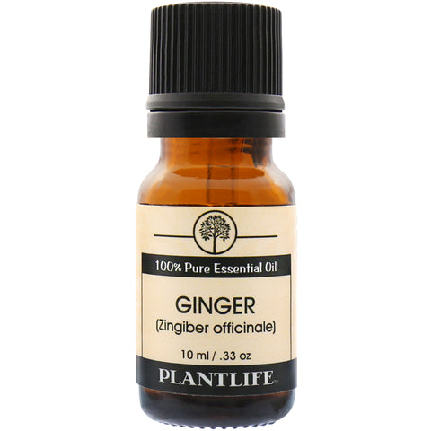 Ginger Essential Oil 15ml