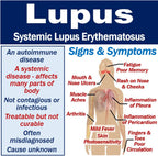 Lupus consultation Scan